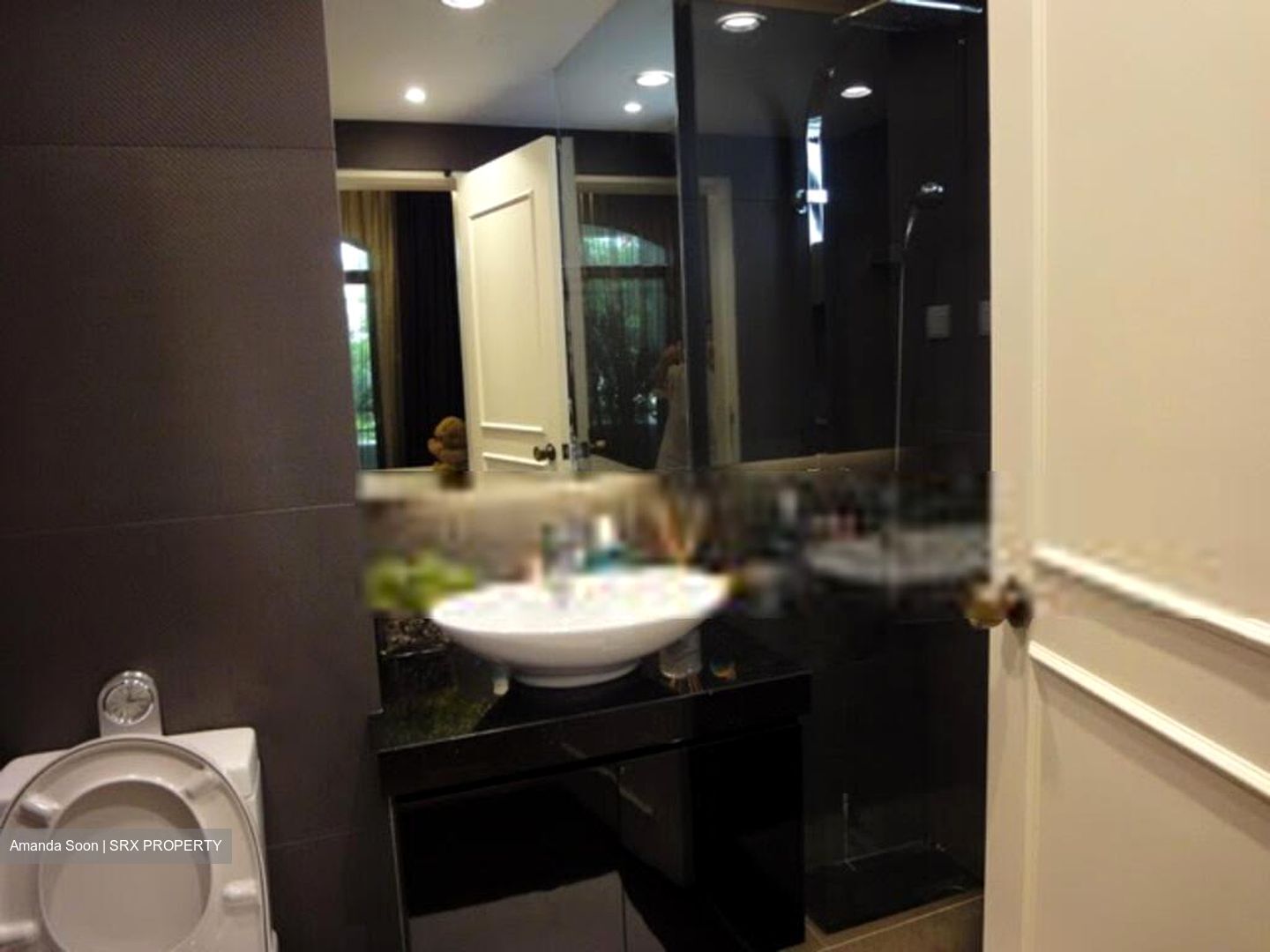 Tanglin Park (D10), Condominium #399794671